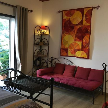 Bed and Breakfast Mas Soleil Et Vignes Saint-Hippolyte  Экстерьер фото